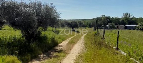 10000m² Land in Campo Maior, Portugal No. 86160 46