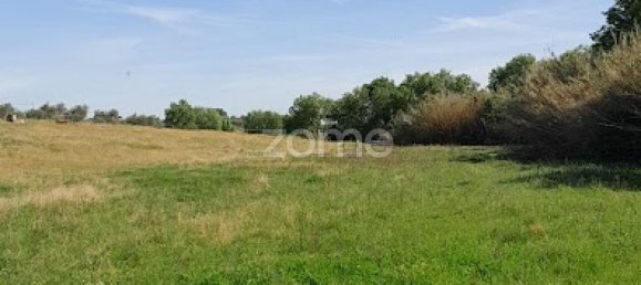 10000m² Land in Campo Maior, Portugal No. 86160 40