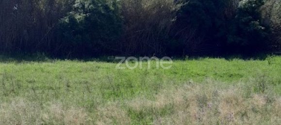 10000m² Land in Campo Maior, Portugal No. 86160 7