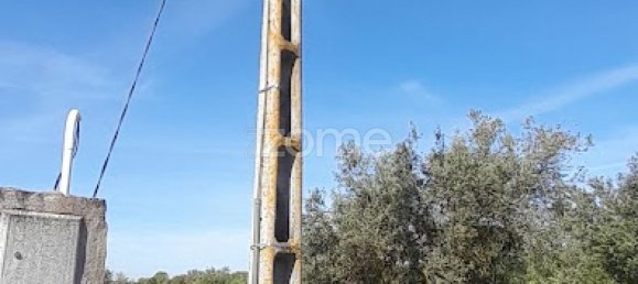 10000m² Land in Campo Maior, Portugal No. 86160 42