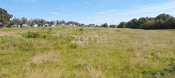 10000m² Land in Campo Maior, Portugal No. 86160 3