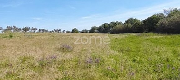 10000m² Land in Campo Maior, Portugal No. 86160 2