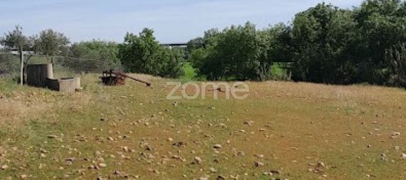 10000m² Land in Campo Maior, Portugal No. 86160 18