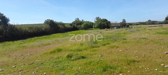 10000m² Land in Campo Maior, Portugal No. 86160 36