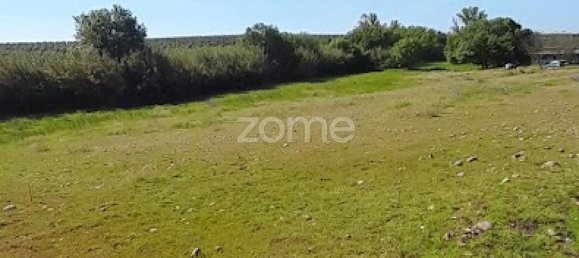 10000m² Land in Campo Maior, Portugal No. 86160 29