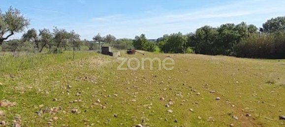 10000m² Land in Campo Maior, Portugal No. 86160 17