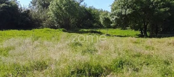 10000m² Land in Campo Maior, Portugal No. 86160 12