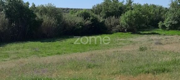 10000m² Land in Campo Maior, Portugal No. 86160 19
