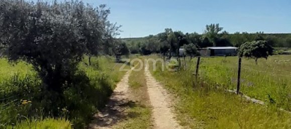 10000m² Land in Campo Maior, Portugal No. 86160 44