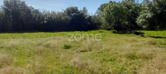 10000m² Land in Campo Maior, Portugal No. 86160 4