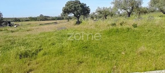 10000m² Land in Campo Maior, Portugal No. 86160 15