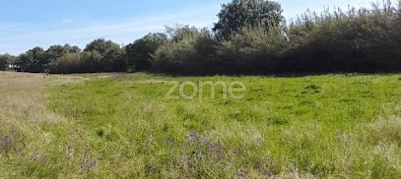 10000m² Land in Campo Maior, Portugal No. 86160 9