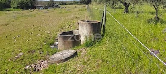 10000m² Land in Campo Maior, Portugal No. 86160 30