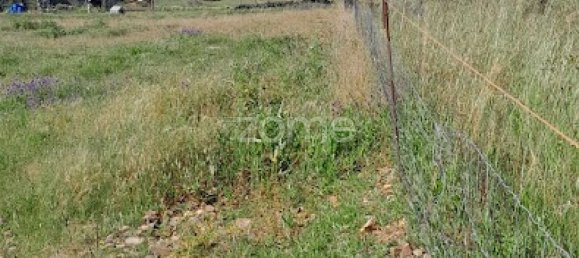 10000m² Land in Campo Maior, Portugal No. 86160 20