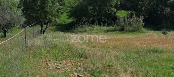 10000m² Land in Campo Maior, Portugal No. 86160 27