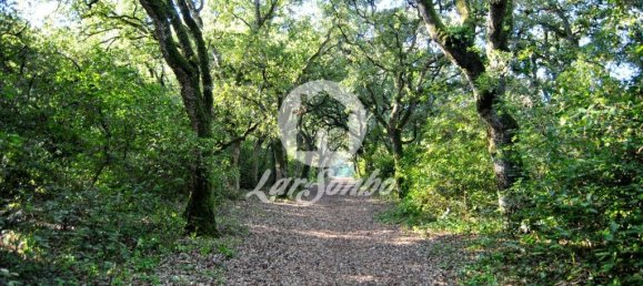 6 غرف نوم منزل في Viana do Castelo, Portugal رقم 66673 11