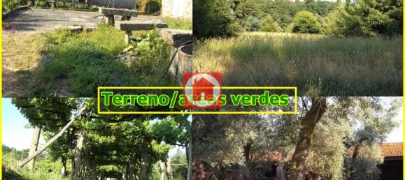 6 غرف نوم منزل في Viana do Castelo, Portugal رقم 66673 16