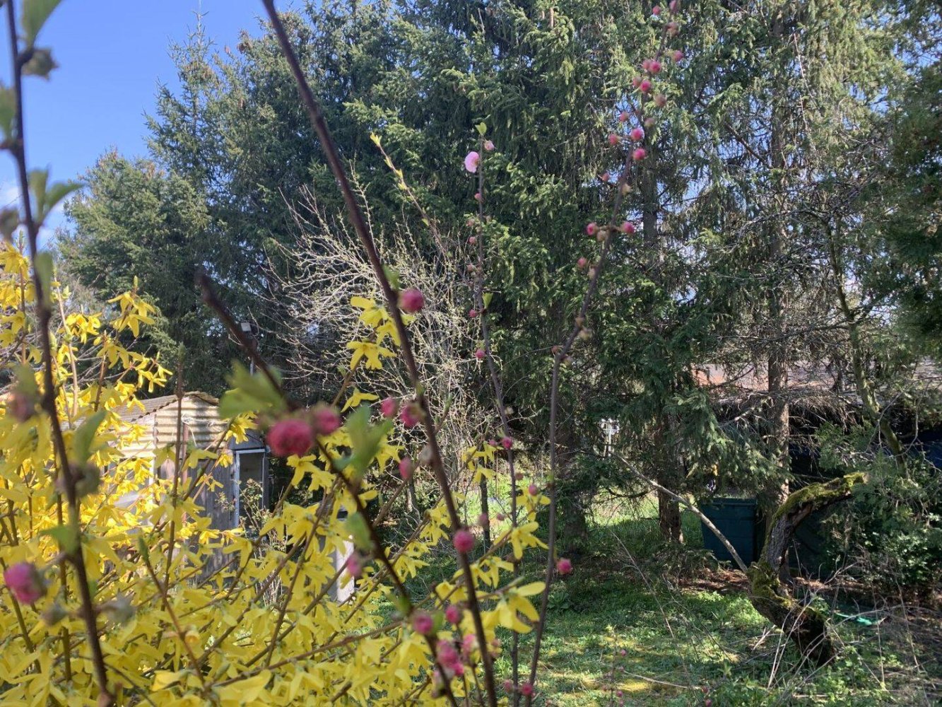 Terrain à Leipzig, Germany No. 292337