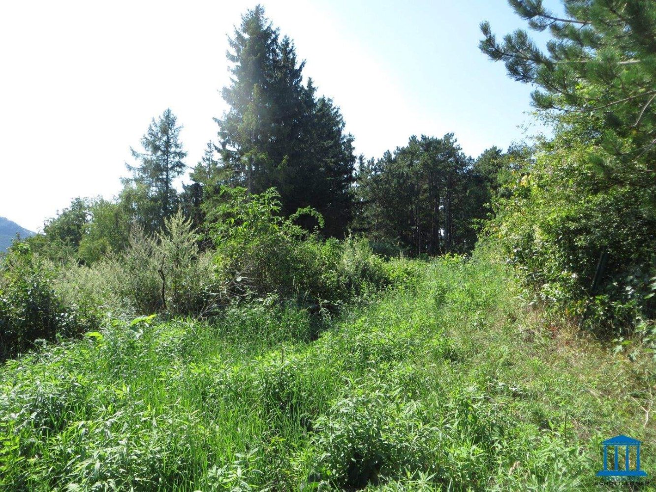  Land in Hohe Wand, Austria No. 213804