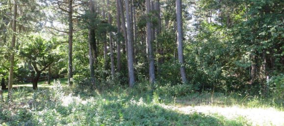Land in Hohe Wand, Austria No. 213804 2