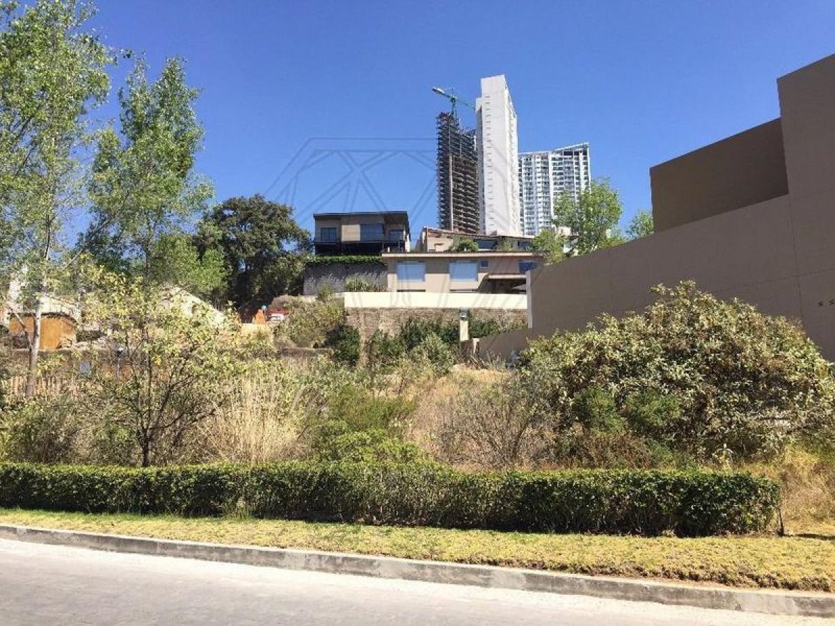  Land in Mexico No. 205797