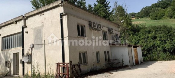 530m² Warehouse in Frontino, Italy No. 113036 4