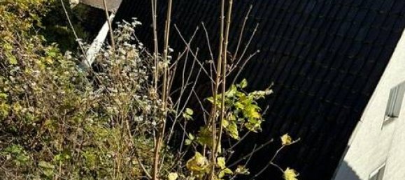 Casa de 5 divisões em Baden-Wurttemberg, Germany N.º 54934 7