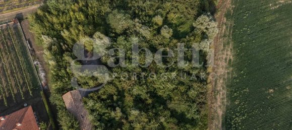 5820m² Land in Pramaggiore, Italy No. 176859 5