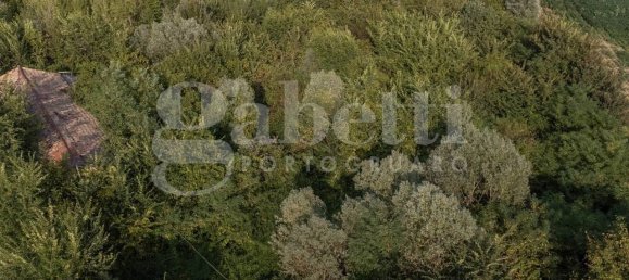 5820m² Land in Pramaggiore, Italy No. 176859 2