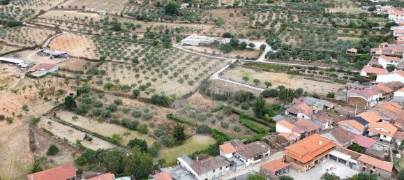 3 Schlafzimmer Haus in Mirandela, Portugal, Nr. 170413 39