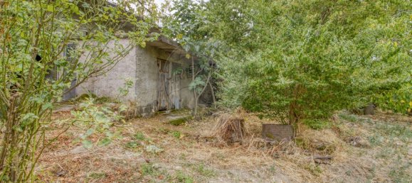 3 Schlafzimmer Haus in Mirandela, Portugal, Nr. 170413 42