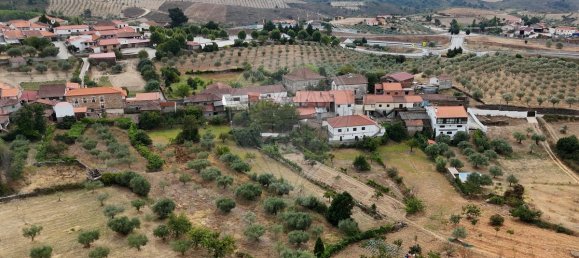 3 Schlafzimmer Haus in Mirandela, Portugal, Nr. 170413 43
