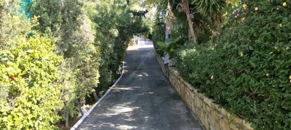 Studio in Limassol, Cyprus No. 12532 8