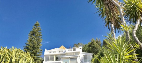 Studio in Limassol, Cyprus No. 12532 11