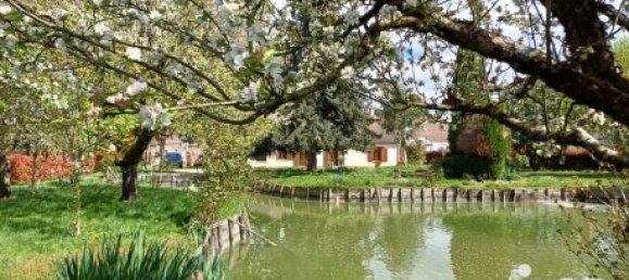 4 bedrooms House in Saint-Pere-sur-Loire, France No. 158895 8