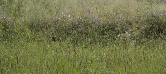 8 bedrooms House in Sintra, Portugal No. 190021 7