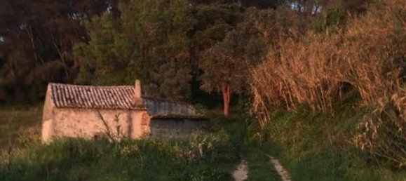 8 bedrooms House in Sintra, Portugal No. 190021 33