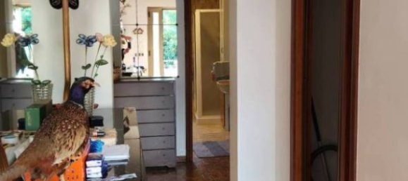 3 bedrooms House in Gorizia, Italy No. 291235 14