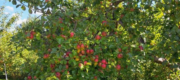 3 bedrooms Townhouse in Rostock, Germany No. 350181 9