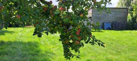 3 bedrooms Townhouse in Rostock, Germany No. 350181 6