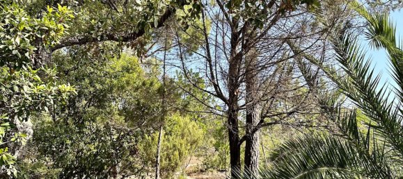 4 Schlafzimmer Villa in Sari-Solenzara, France, Nr. 94495 23