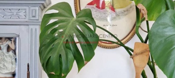 1 bedroom House in Viareggio, Italy No. 264389 3