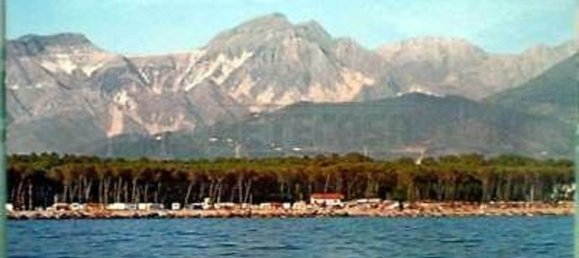 3-Zimmer Wohnung in Massa, Italy, Nr. 309071 19