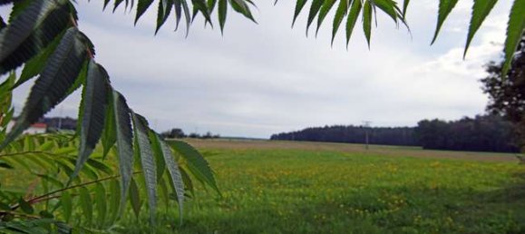 Adosado de 7 dormitorios en Furth, Germany No. 225383 9