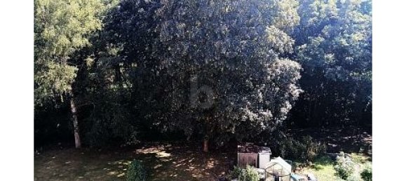 2غرفة شقة في Harz, Germany رقم 339008 2