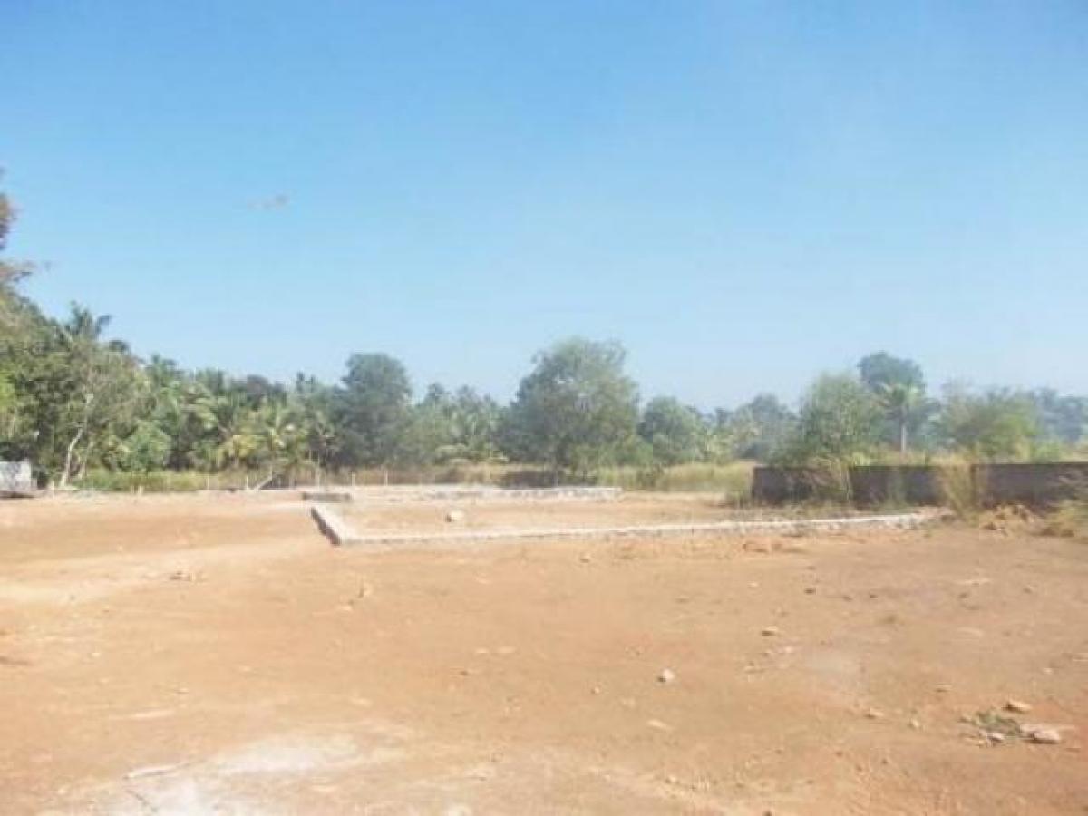  قطعة أرض في Noida, India رقم 65868