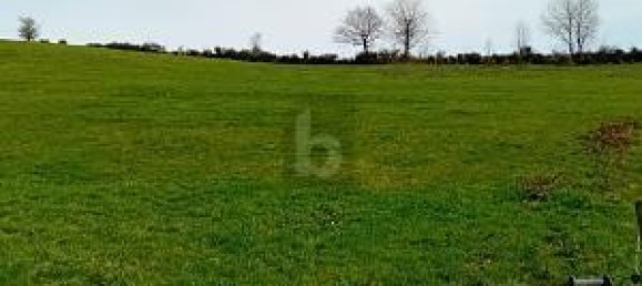 2000m² Land in Rhineland-Palatinate, Germany No. 295998 2