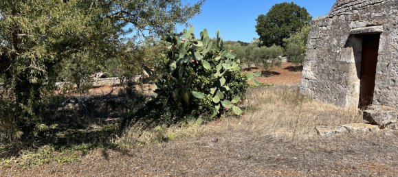1 chambre Terrain à Cisternino, Italy No. 149814 6