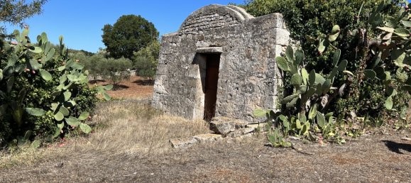 1 chambre Terrain à Cisternino, Italy No. 149814 7