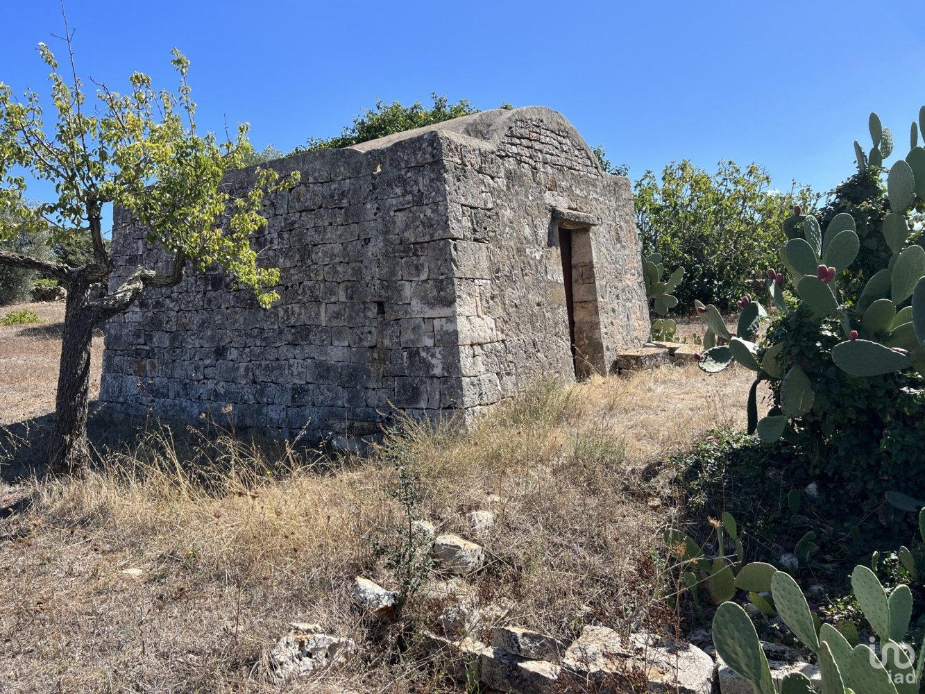 1 chambre Terrain à Cisternino, Italy No. 149814